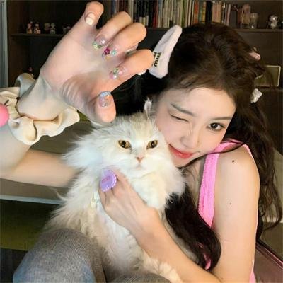 十二猴子
